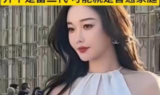 雅典娜事件