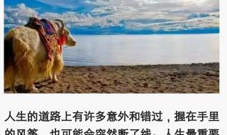 青春常驻永远年轻的句子 旅行的句子唯美短句