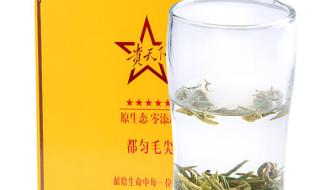 都匀毛尖茶哪家店铺最正宗 贵天下都匀毛尖