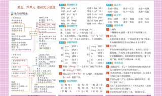 小学三年级上册语文全部近义词和反义词有哪些 三年级上册语文复习