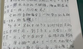 三年级下册作文120字 三年级下册作文大全