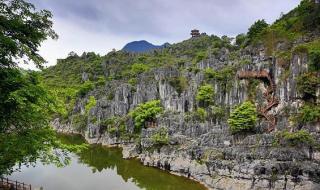 兴文山地乌骨鸡