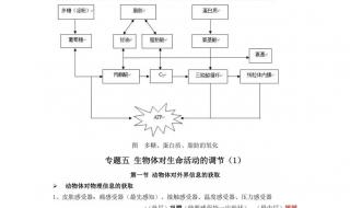 急求高中生物跟化学知识点总结 高二生物知识点总结