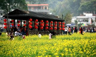 广州市花都区新华中学怎么样 广州市花都区新华镇