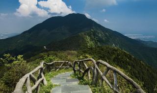 深圳横岗周边免费游玩景点 深圳周边旅游景点