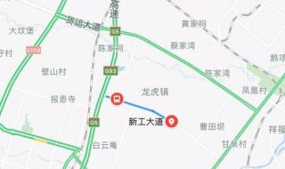 高德地图钟晨瑶语音包怎么弄 高德地图数据包放哪