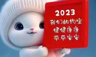 兔子怎么带回家过年 新年兔子图片