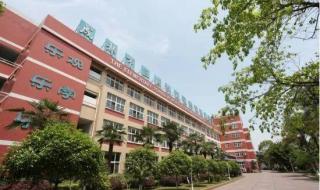 新都大丰私立小学哪个最好 成都最好私立小学排名