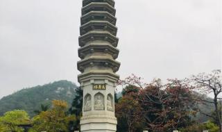 厦门植物园和南普陀寺怎么一起逛 厦门南普陀寺