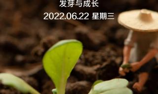 圣诞祝福图片2022 2022最火朋友圈配图