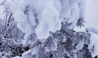 河南多地突降大雪预示着什么 河南多景区飘起大雪