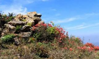 峡谷之巅怎么进去 峡谷之巅报名