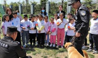 太仓市中小学社会实践基地有什么 中小学生社会实践基地