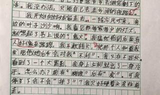 关于心儿怦怦跳的句子 我的心儿怦怦跳全国一等奖