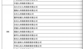 中意人寿保险公司排名 寿险哪家保险公司好