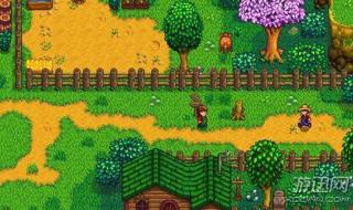 stardewvalley怎么破开石蛋 stardewvalley