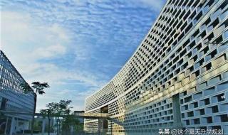 南方科技大学2021江苏录取分数线 南方科技大学分数线