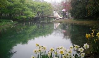 杭州西湖一日游怎么安排最佳 杭州西湖一日游路线