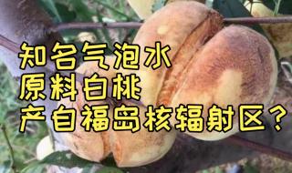 农夫山泉是娃哈哈集团的吗