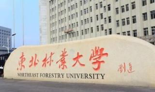 211大学排名哪个最好 全国211大学名单排名