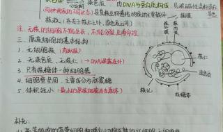 生物选修2-1知识点总结 高一生物必修一知识点